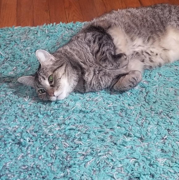 Meet Your Poshers, Gina and Keke! - Picture 5 of 11